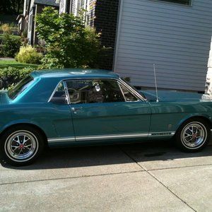 Meet your Posher, Erik